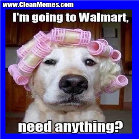 23 Funniest Walmart Memes You’ll Ever See .